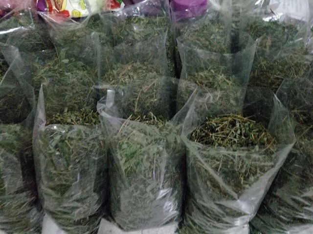 Giảo Cổ Lam 1kg loại 7 lá chuẩn xịn | BigBuy360 - bigbuy360.vn