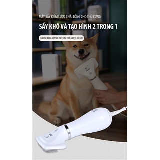 Máy Sấy Chải Lông Cho Thú Cưng 2 Trong 1