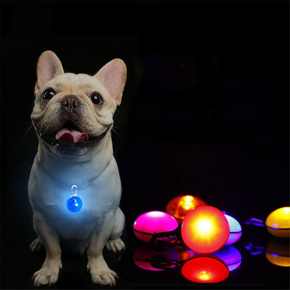 Vòng Cổ Có Đèn LED Phát Sáng Nhiều Màu Sắc Độc Đáo Cho Thú Cưng