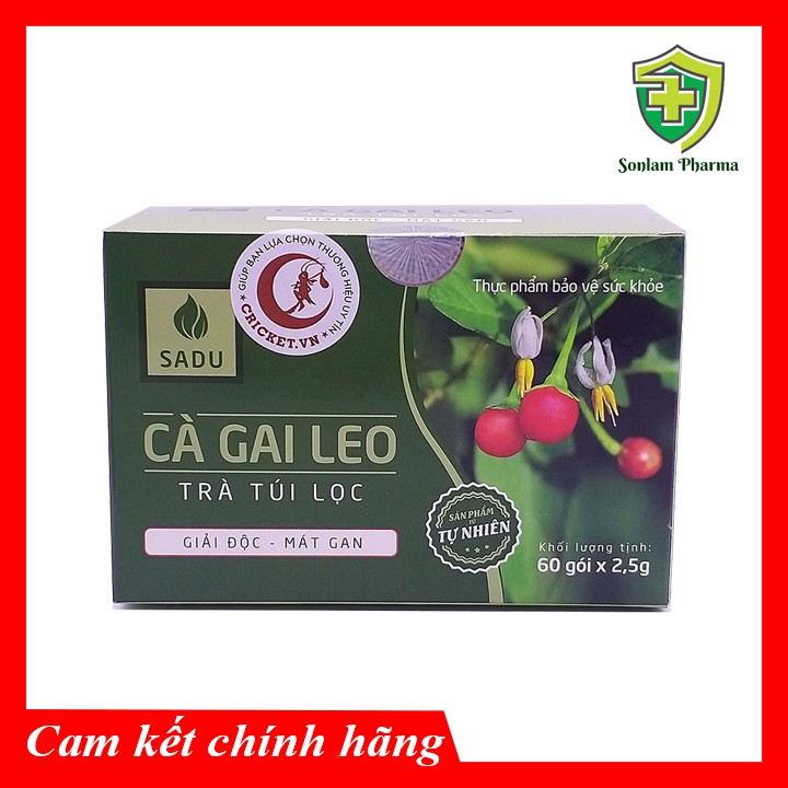 Sadu Trà Túi Lọc Cà Gai Leo - Tăng cường chức năng giải độc gan 150g - Hộp 60 gói *2,5g