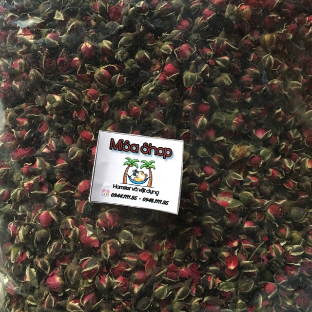 Hoa hồng cho Hamster