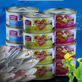Thịt hộp cho mèo Foodie 170g