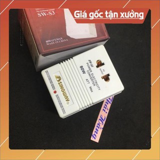 . Bộ đổi nguồn điện SINGWAY 220 v<_>110 v (2 chiều ) ..