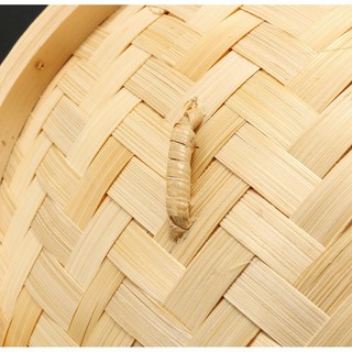 ☁HL Xửng hấp bằng tre tiện dụng