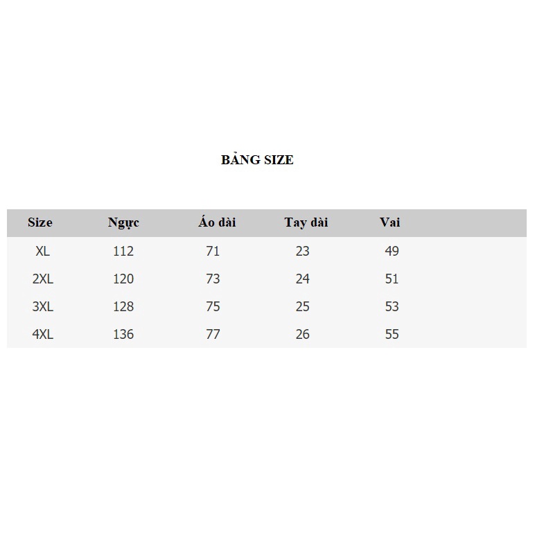 A24627 Áo thun nữ hè ngắn tay cho người mập hàng nhập