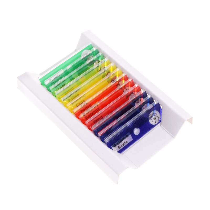 Set 12 Mẫu Vật Lý Kính Hiển Vi Cho Học Sinh