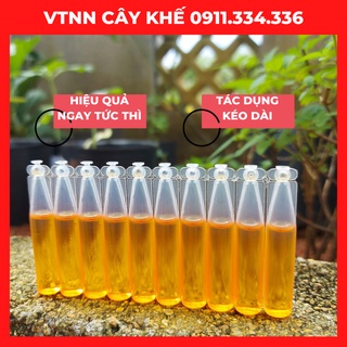 Thuốc diệt ruồi vàng loại thuốc ruồi vàng dùng cho bẫy ruồi vàng thế hệ mới