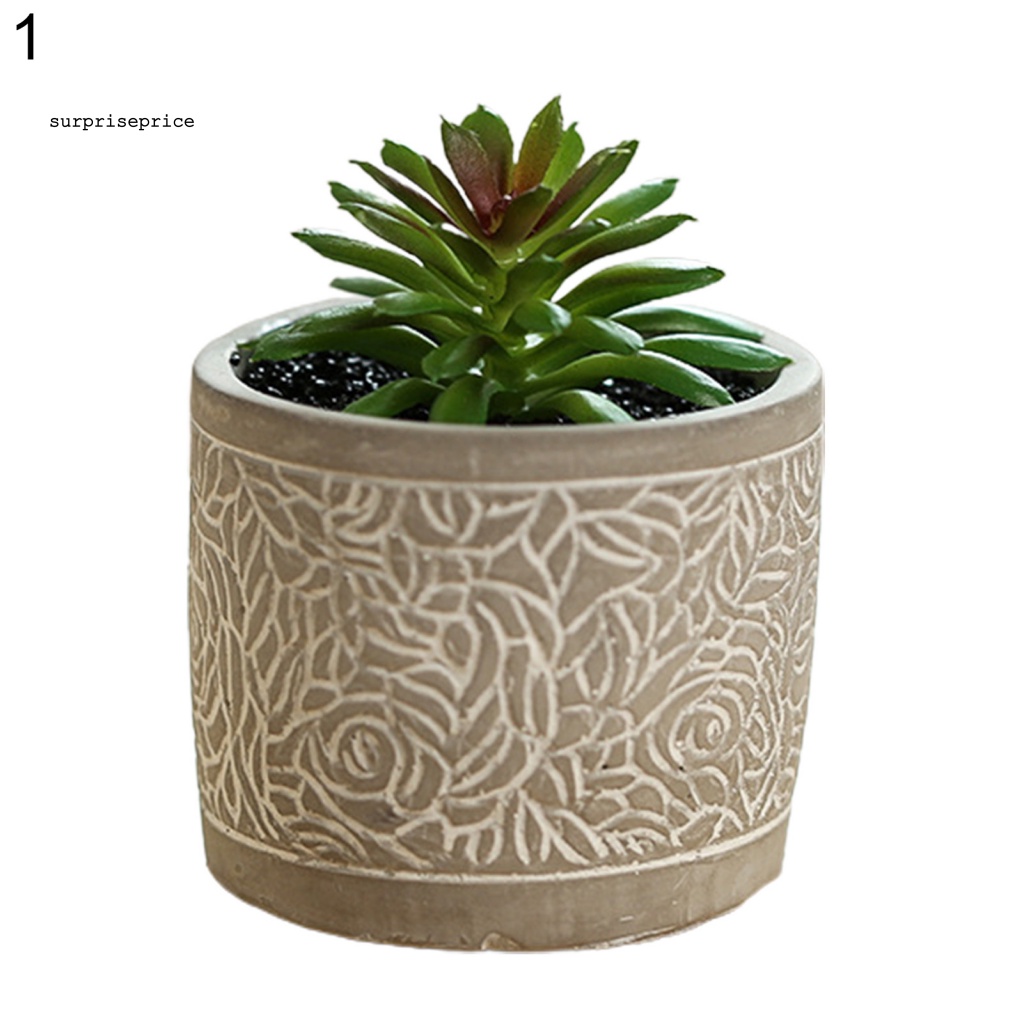 Kệ Để Chậu Cây Bonsai Mini Thân Thiện Với Môi Trường Dùng Trang Trí Bàn Làm Việc