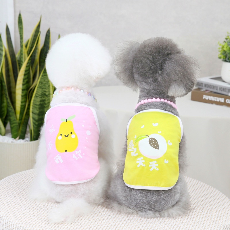 Áo Hai Dây Mỏng Năm Màu Sắc Họa Tiết Trái Cây Thời Trang Xuân Hè Cho Thú Cưng