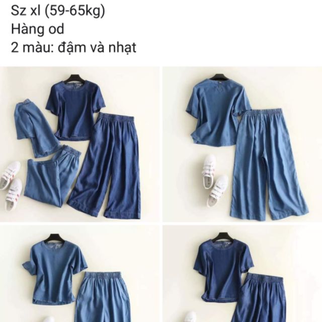 Set bò giấy nữ