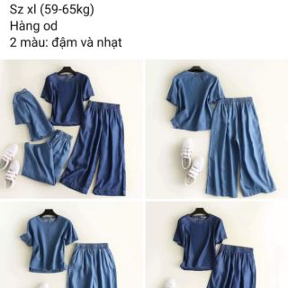 Set bò giấy nữ