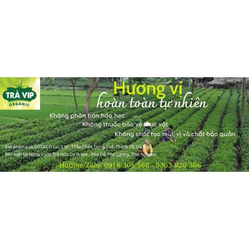 Trà hữu cơ 100% Organic  Mã (TRA 03) loại Đặc Sản frreship với đơn hàng 1kg | BigBuy360 - bigbuy360.vn