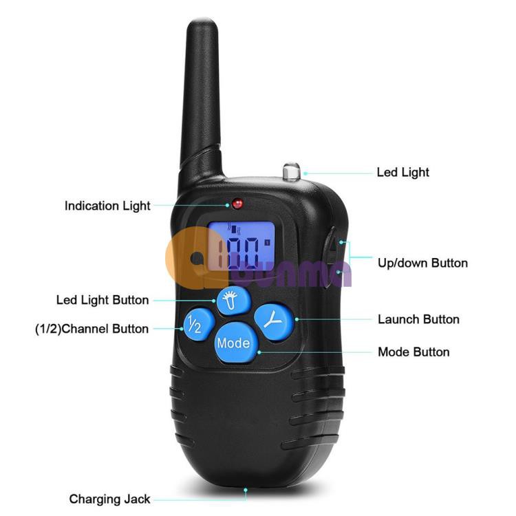 Vòng cổ huấn luyện chó, Thiết bị đào tạo chó nghiệp vụ-M998DB, Đào tạo 1 chó