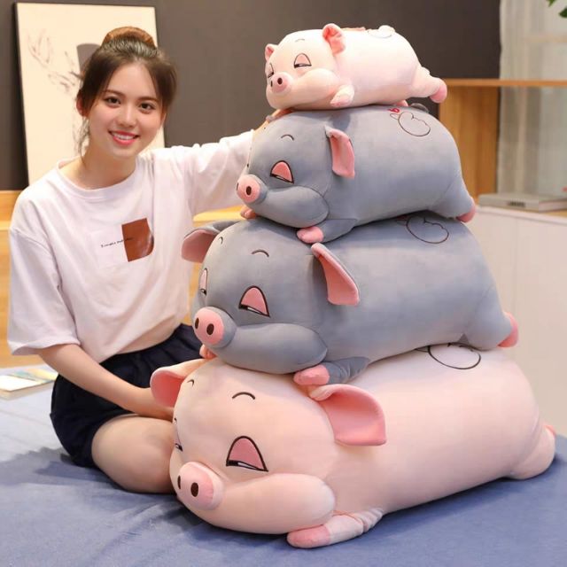 Gấu bông heo hí