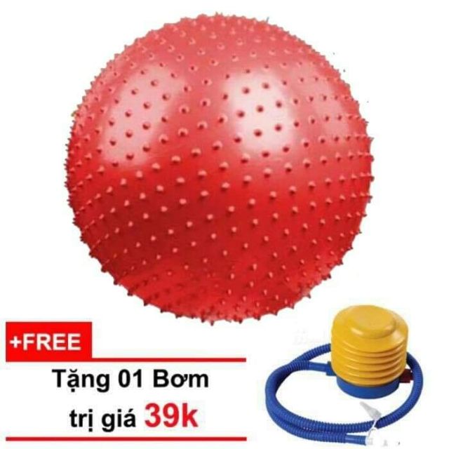 Bóng gai trị liệu