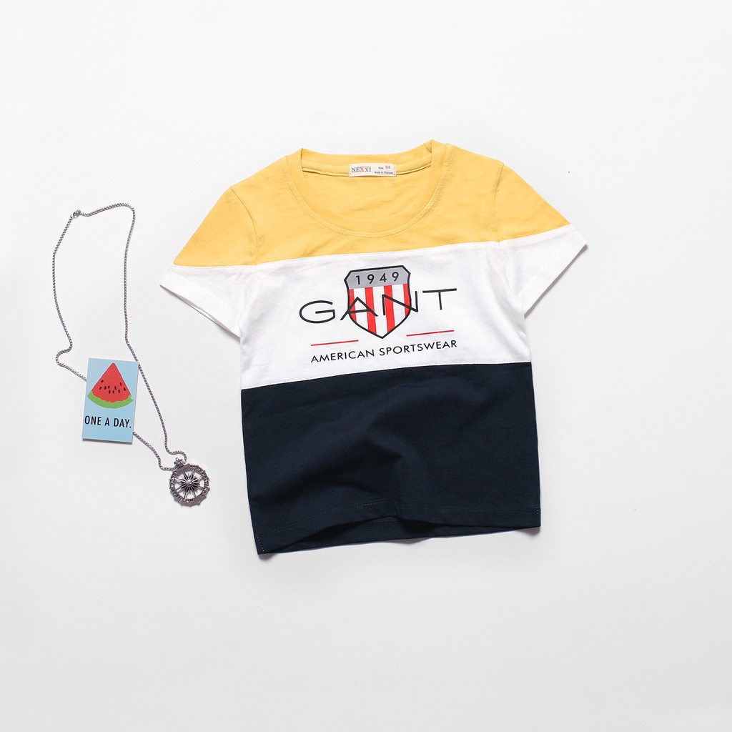 2206.AO THUN NT PHOI 3 MAU GANT