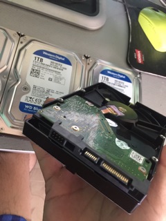 Hdd ổ cứng 1TB