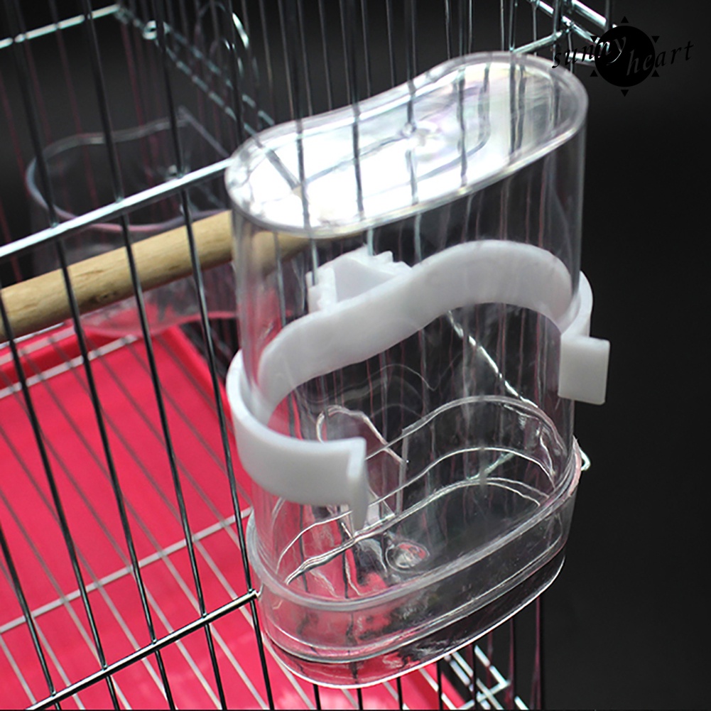 Dụng Cụ Cho Chim Ăn Uống Tự Động Tiện Lợi