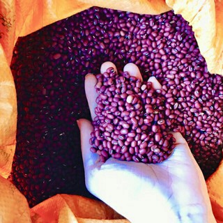 Sỉ giá gốc 1kg hạt đỗ đỏ quê