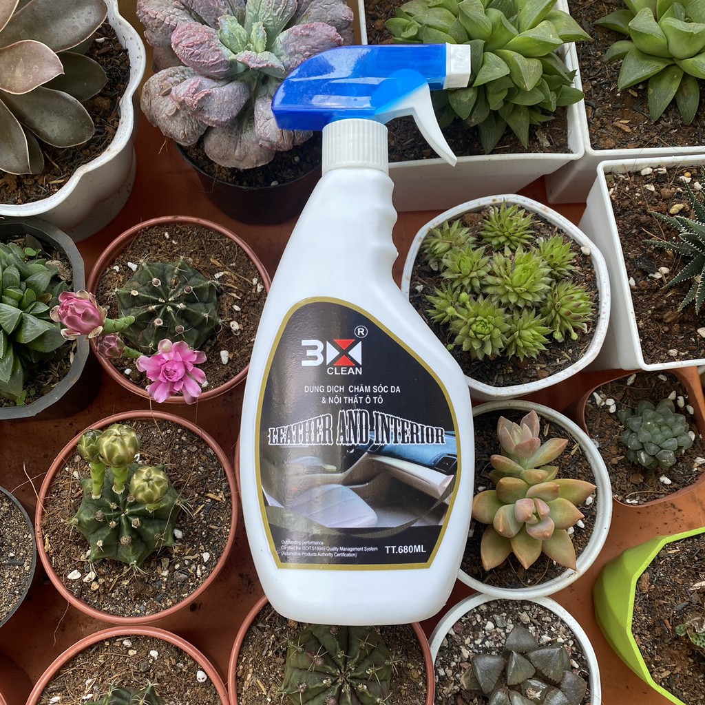 Tẩy Nội Thất Oto Cao Cấp 3X 500ml. Chuyên Vệ Sinh Nội Thất, Taplo, Tappi, Ghế Da, Trần....