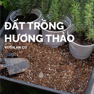 Đất trồng, giá thể trồng cây hương thảo trộn sẵn (500g - 1.7L) - Đầy đủ dinh dưỡng, tơi xốp - Đảm bảo cây sống khỏe