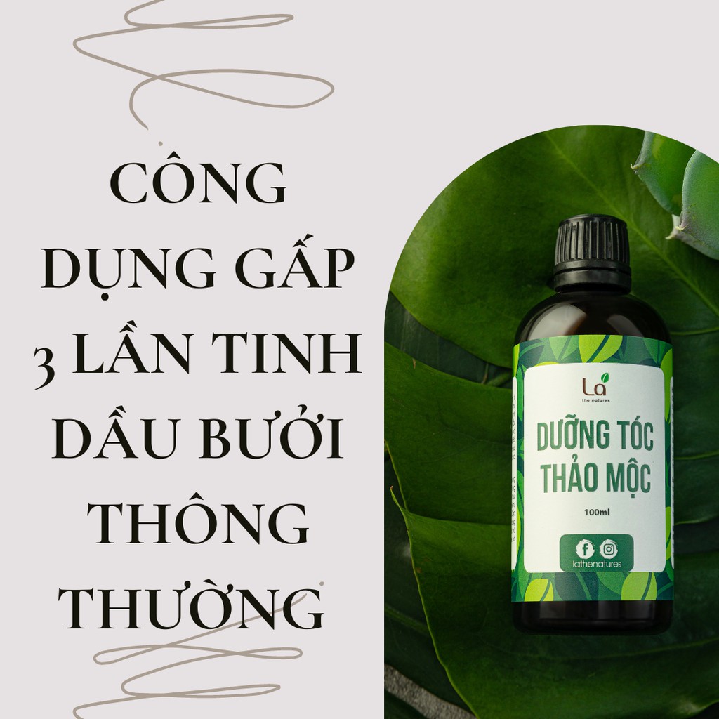 [SIÊU MỌC TÓC] Tinh Dầu Thảo Mộc Đậm Đặc Giảm Rụng & Kích Thích Mọc Tóc Gấp 3 Lần Xịt Bưởi Thông Thường