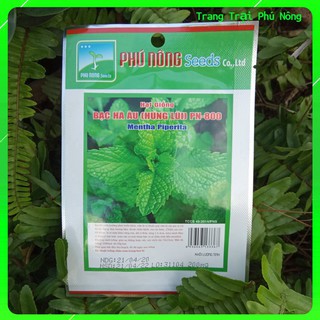 Hạt Giống Bạc Hà Âu (Húng Lũi) PN-800 Phú Nông - Gói 0.2g - Menth Piperita