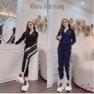 Bộ Thể Thao Nữ Dài Tay Bo Gấu, Bộ Thu Đông, Chất Umi Siêu Đẹp