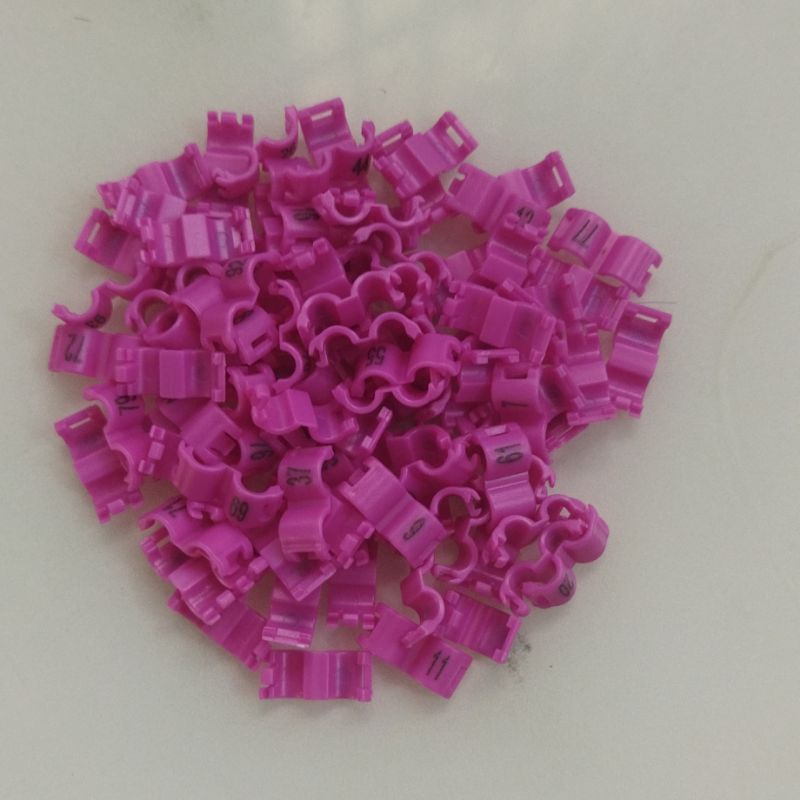 10PCS VÒNG CHÂN CHIM YẾN HÓT FINCH CÓ SỐ SORI SET