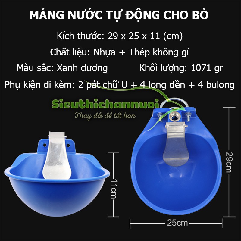 Máng uống nước tự động cho bò