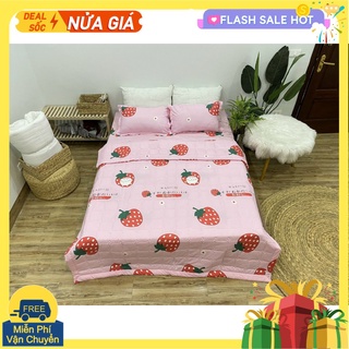 Chăn hè thu trần bông 3 lớp poly,mền trần bông,hàng có sẵn tại tphcm,mẫu sao rơi