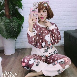 Com po trang tien