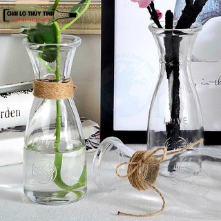 Bình Bông Lọ Hoa Thủy Tinh Eo Lớn