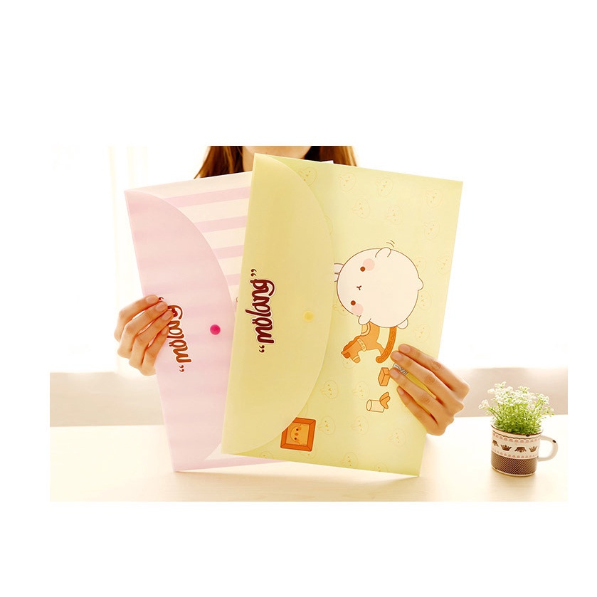 Túi bìa đựng tài liệu, file kẹp lưu trữ giấy tờ a4