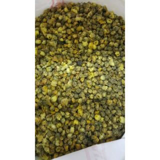 Nụ hoa cúc khô nguyên bông tph006