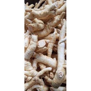 rễ đinh lăng nếp chọn