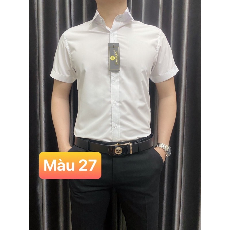 SƠ MI NAM NGẮN TAY | BigBuy360 - bigbuy360.vn