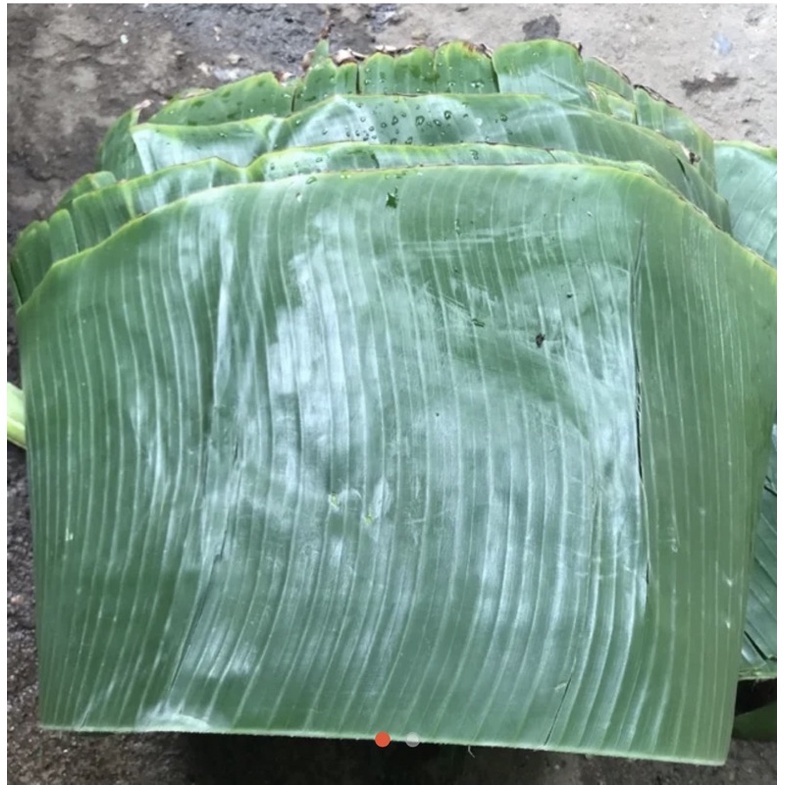 lá chuối tươi