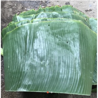 Lá chuối tươi