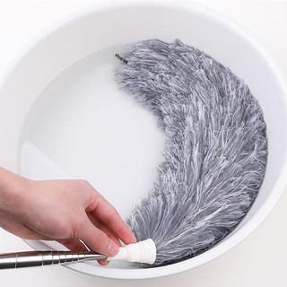 Hk hot thanh hao quét bụi , thanh hao lông quét bụi cán dài 12