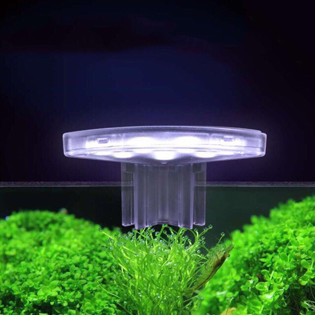 Đèn Led mini gắn bể cá mini