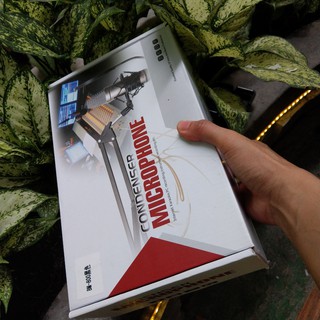 Bộ Micro Karaoke thu âm BM 900