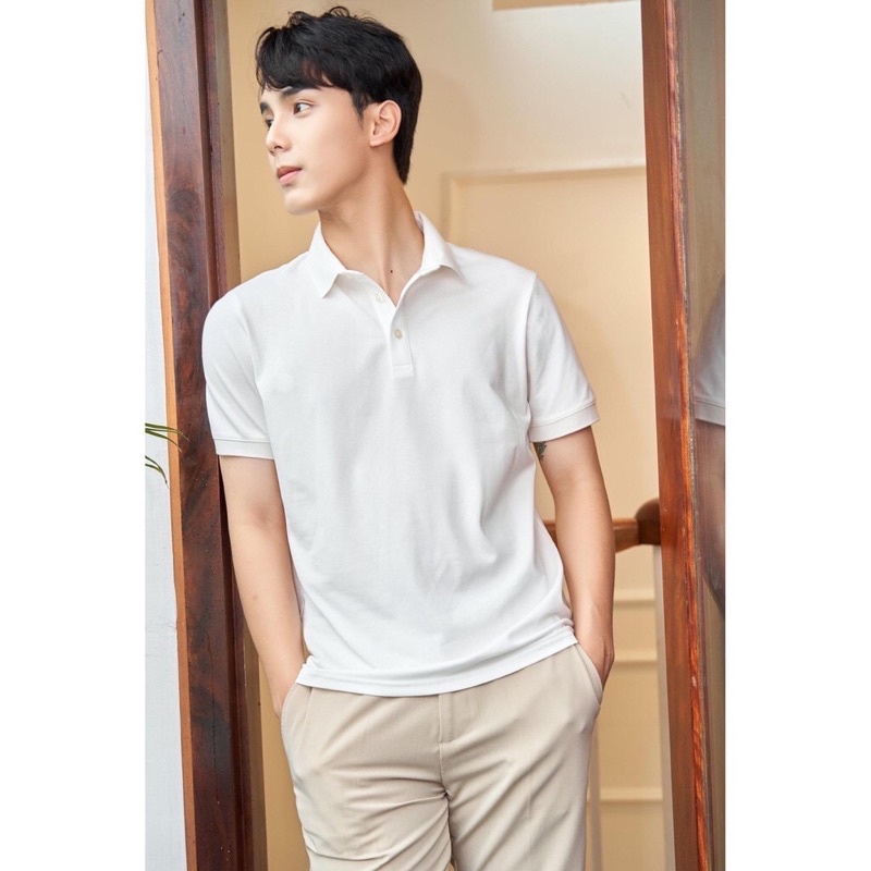 Áo Polo Nam Basis Nhiều Màu , Vải Cotton 4 Chiều dày dặn, có giãn thấm hút mồ hôi tốt