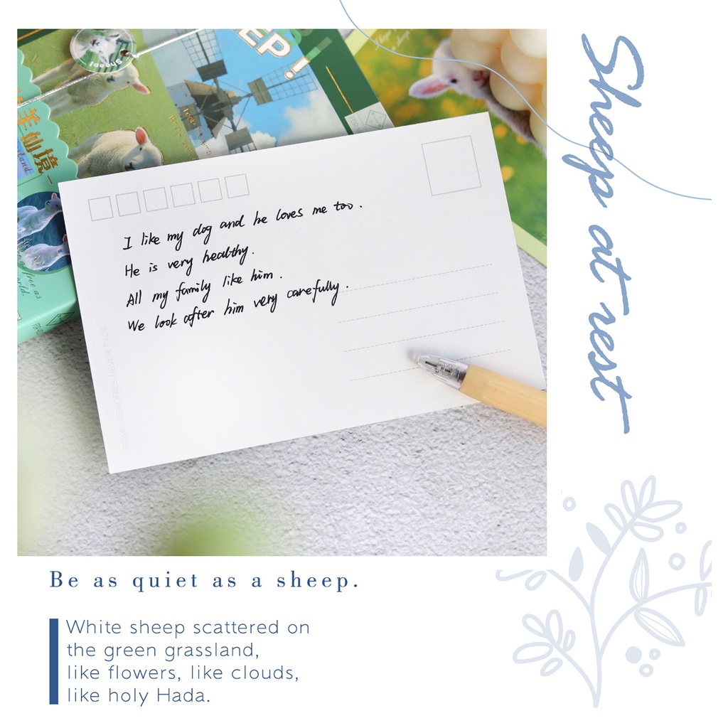 Postcard, thiệp chúc mừng những chú cún