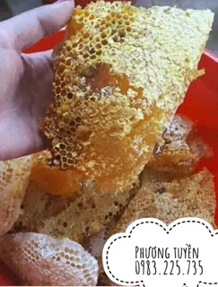 Mật ong rừng kbang