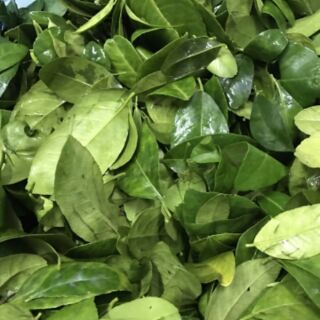 KHÔ BÒ CỤC 500g