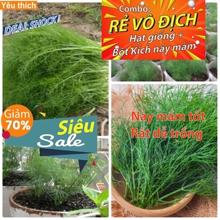[Combo rẻ vô địch HẠT GIỐNG + KÍCH MẦM] - 3 GAM HẠT GIỐNG RAU THÌ LÀ TỨ QUÝ F1 NĂNG XUẤT CAO SINH TRƯỞNG KHỎE