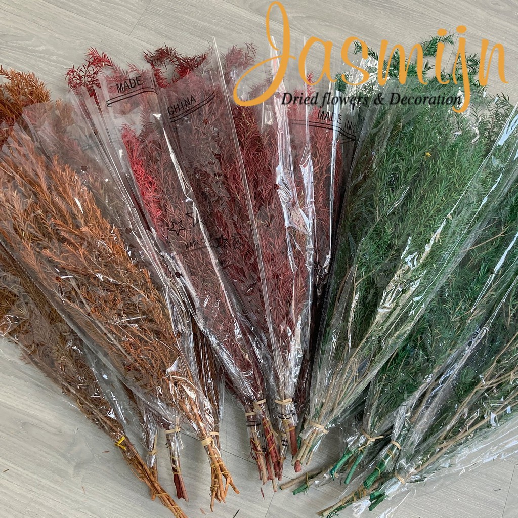 Lá hoàng kim khô nhiều màu