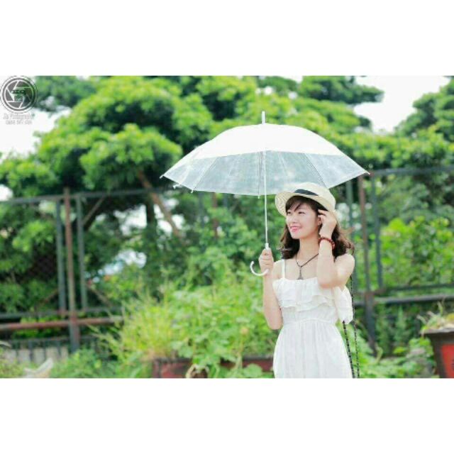 Ô che mưa phong cách Hàn Quốc - Dù trong suốt