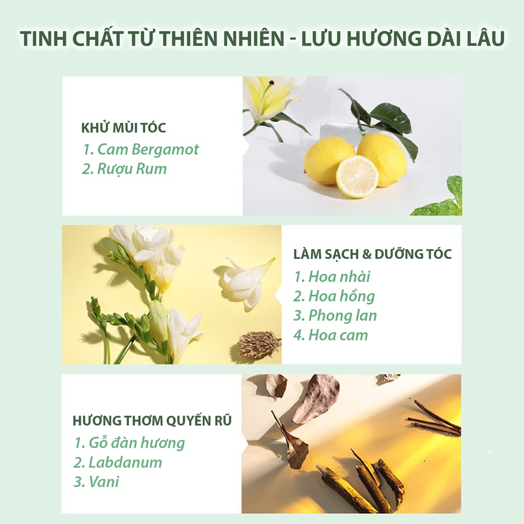 Dầu gội nước hoa muối biển Five Grains 500ml, VANCY